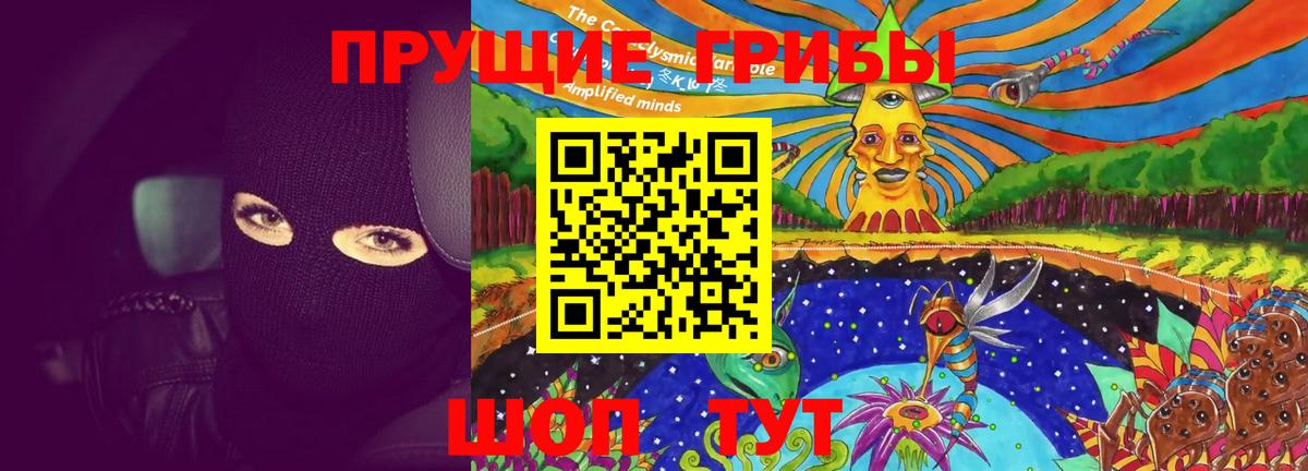 Галлюциногенные грибы Cubensis  Вход с VPN  Киселёвск  Галлюциногенные грибы Psilocybe 